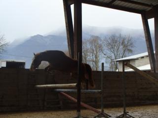 http://cedesmillieres.fr/sites/default/files/imagecache/preset3/royal%20feu%20007.JPG